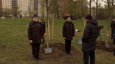 В Невском районе заложили Аллею памяти в честь военнослужащих, погибших на СВО