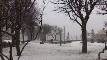 Мокрый снег и сильный ветер: в Петербург ворвался арктический холод