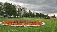 В этом году в Петербурге высадят на миллион цветов больше, чем в 2025 году