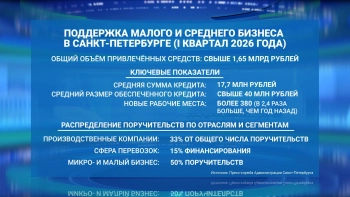 Александр Беглов: Малый и средний бизнес Петербурга с начала года привлек свыше 1,65 млрд рублей благодаря поручительствам городского Фонда содействия кредитованию