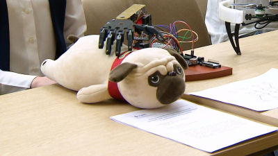 На Международной студенческой научной конференции ГУАП представили робота, способного приласкать домашнего питомца