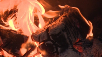 Александр Беглов подписал постановление о городских субсидиях поставщикам твёрдого топлива за его реализацию петербуржцам по льготной стоимости