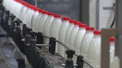 В Петербурге усилят контроль за качеством молочной продукции