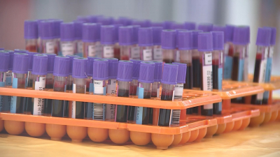 Александр Беглов: Петербуржцы могут сдать кровь в вузах, молодежных центрах и госучреждениях в рамках масштабной программы, посвященной Дню донора