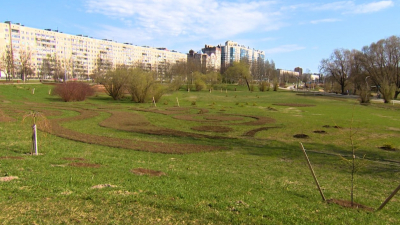 В Петербурге парки и сады открыли раньше обычного — благодаря погоде