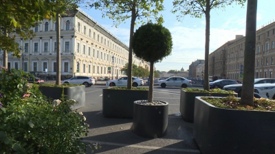 Сад-трансформер на Синем мосту в этом году увеличится в два раза