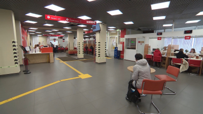 В 2025 году в Петербурге заключены 620 социальных контрактов