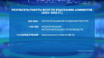 Счетная палата оценила результаты принудительного взыскания алиментов