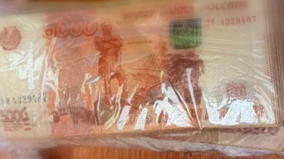 В Петербурге задержали теневых банкиров, выведших за границу 600 млн рублей