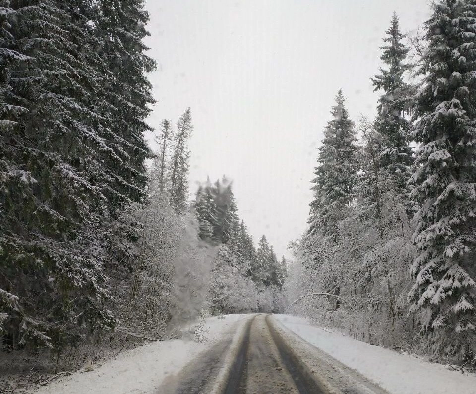 Циклон не отступает: 27 апреля в Ленобласти ожидается мокрый снег, метель и гололёд - tvspb.ru
