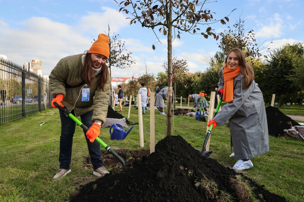 Александр Беглов напомнил о Дне благоустройства, который пройдет 25 апреля, и пригласил принять в нем участие - tvspb.ru