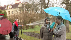 Весенний душ для тюльпанов: клумбы в парках Петербурга готовятся к сезону