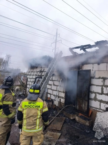 В Нижнем Новгороде при пожаре погибли 200 собак