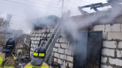 В Нижнем Новгороде при пожаре погибли 200 собак