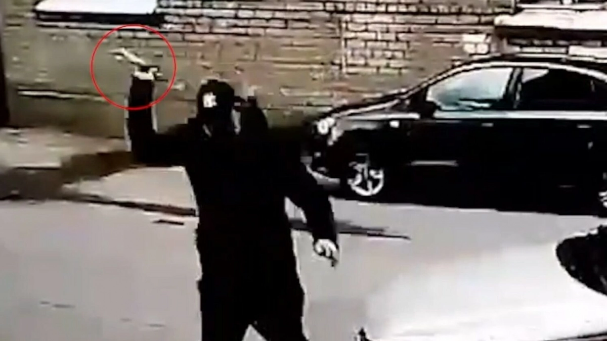 В Понтонном агрессор с ножом бросался на машины, а затем пошёл в атаку на росгвардейцев - tvspb.ru