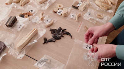 Клыки, когти и голова змеи: пассажир «Пулково» собирался вывезти в Китай части тел редких животных