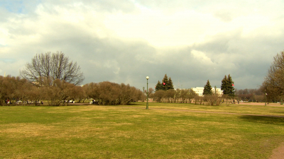 Синоптик Куткевич: Мокрый снег и ночные заморозки вернутся в Петербург