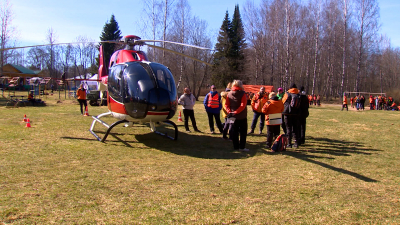 400 человек, вертолёты и лошади: как «ЛизаАлерт» ищет потерявшихся в лесах Ленобласти