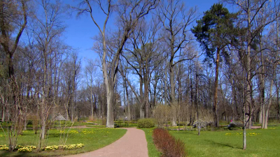 Павильон «Каменное зало» в Ораниенбауме откроется после реставрации в 2026 году