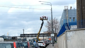 В Кировском районе реконструируют освещение вдоль дороги на Турухтанные острова