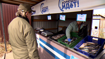 Корюшка пошла: где купить главный весенний деликатес в Петербурге