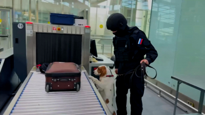 С начала 2026 года сотрудники ОМОН совершили больше 100 выездов для обезвреживания боеприпасов