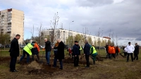 В Муринском парке высадили 90 яблонь в честь 90-летия Калининского района