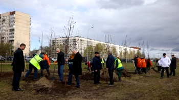 В Муринском парке высадили 90 яблонь в честь 90-летия Калининского района