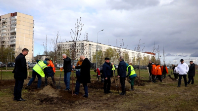 В Муринском парке высадили 90 яблонь в честь 90-летия Калининского района