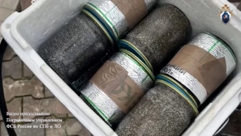 Краснокнижный деликатес на 78 кг: как в Пулково задержали партию чёрной икры и её хозяев