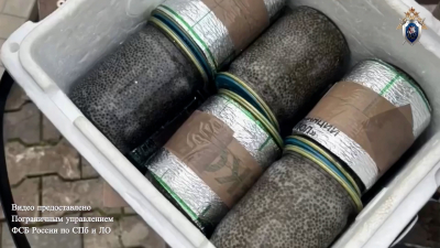 Краснокнижный деликатес на 78 кг: как в Пулково задержали партию чёрной икры и её хозяев