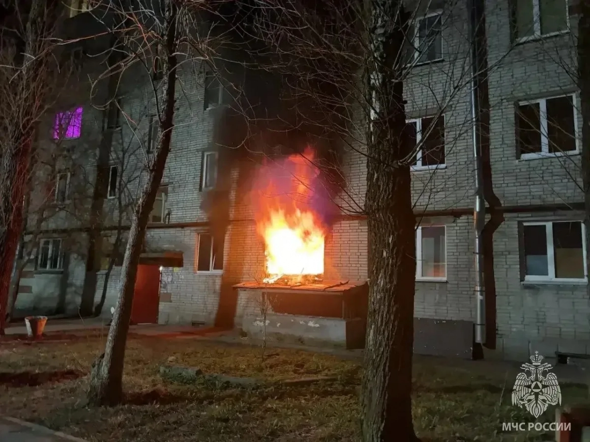 После пожара в Гатчинском районе Ленобласти нашли останки: погиб пожилой мужчина - tvspb.ru