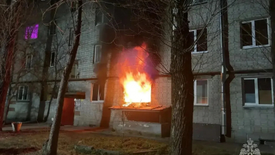 После пожара в Гатчинском районе Ленобласти нашли останки: погиб пожилой мужчина