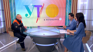 В поисках злоключений: почему весной и летом число потерявшихся котов и кошек увеличивается в пять раз