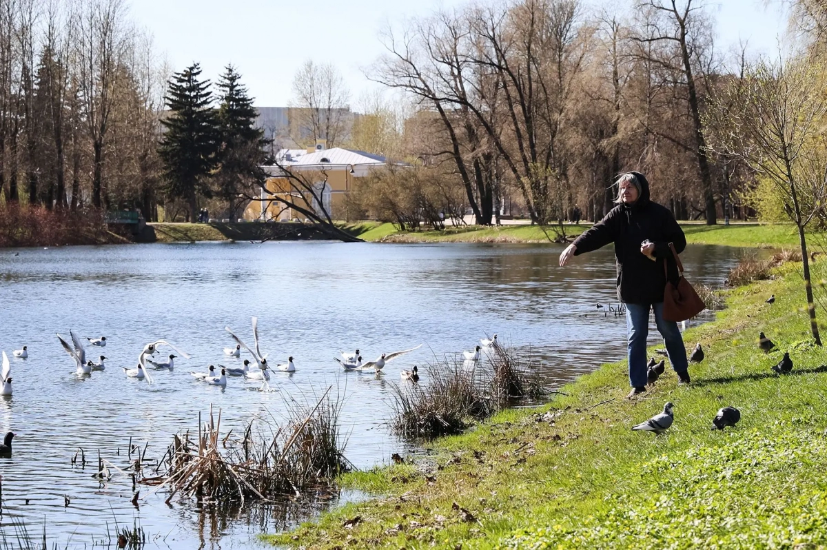 В Петербурге парки и сады открыли раньше обычного — благодаря погоде - tvspb.ru