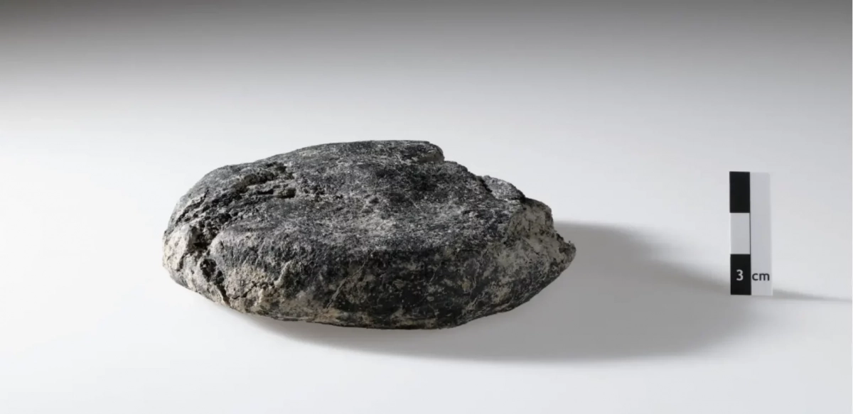 Горелый сухарь легионера: в Швейцарии нашли хлеб возрастом 2000 лет - tvspb.ru