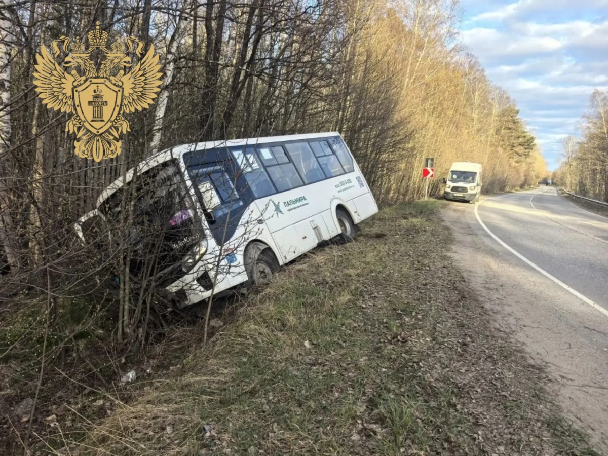 ПАЗ съехал в кювет под Петербургом: прокуратура проверит перевозчика - tvspb.ru