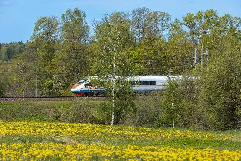 РЖД запустили акцию: билеты на первомайские «Сапсаны» продаются от 2500 рублей - tvspb.ru