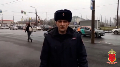 В Петербурге задержали водителя каршеринга, насмерть сбившую шестилетнюю девочку на пешеходном — возбуждено уголовное дело