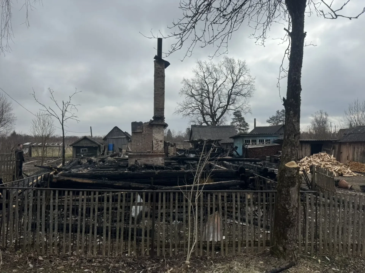 Пожар в Волосовском районе: возбуждено уголовное дело о гибели 89-летней женщины и 62-летнего мужчины - tvspb.ru