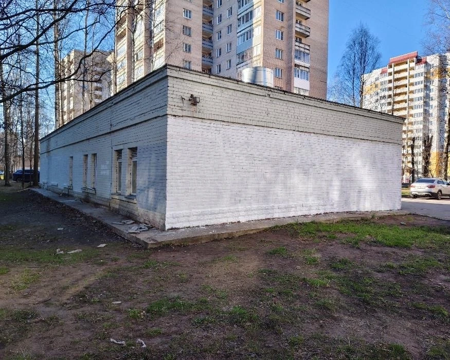 Итоги четырех дней «Недели чистоты» в Петербурге: число устранённых нарушений выросло в пять раз - tvspb.ru