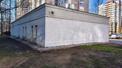 Итоги четырех дней «Недели чистоты» в Петербурге: число устранённых нарушений выросло в пять раз