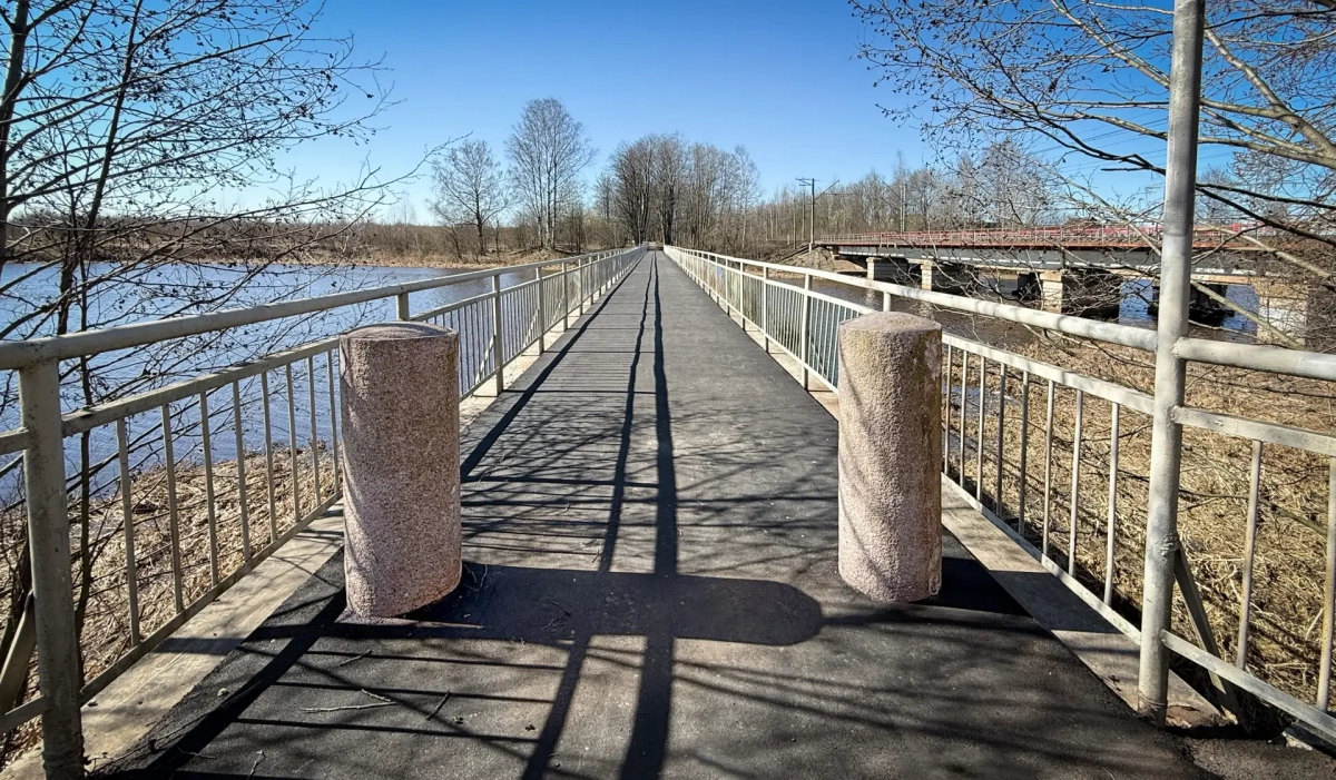 В Петербурге обновили 250 кв. метров асфальта на Капсюльном мосту - tvspb.ru