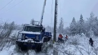 Апрельская непогода оставила без электричества СНТ и ДНП Ленобласти: более 100 бригад восстанавливают линии электропередач