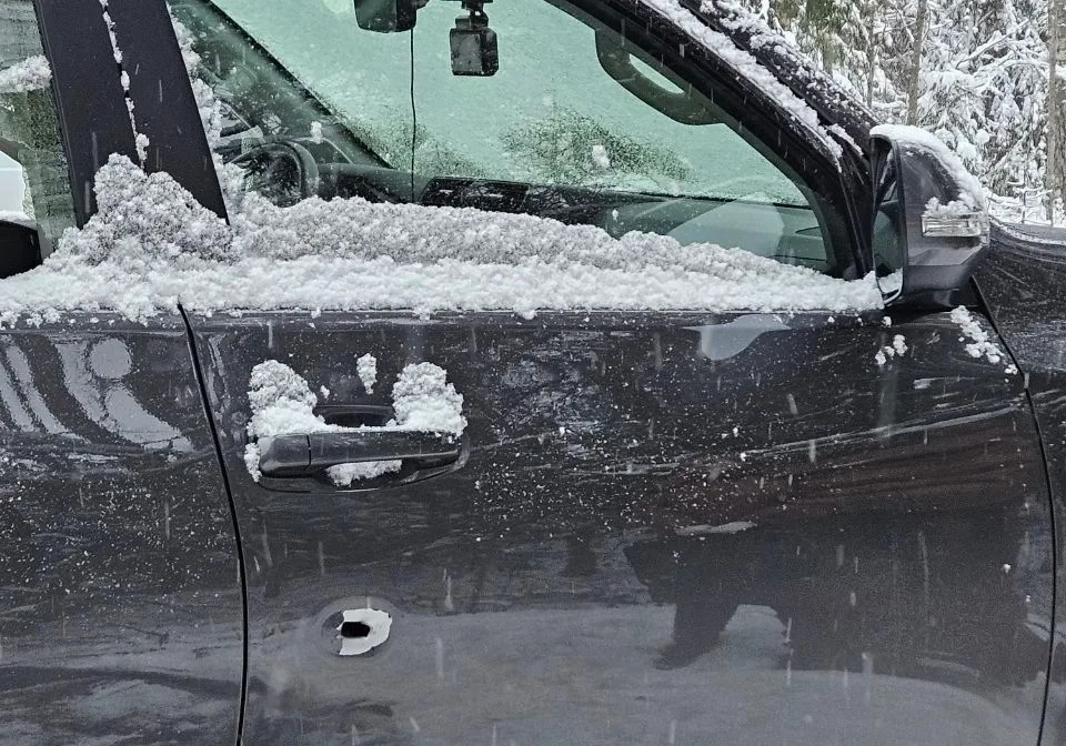 «Стрельба по лосю» обернулась трагедией: в Ленобласти охотник случайно убил пассажира авто - tvspb.ru