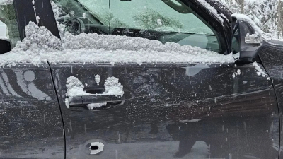 «Стрельба по лосю» обернулась трагедией: в Ленобласти охотник случайно убил пассажира авто