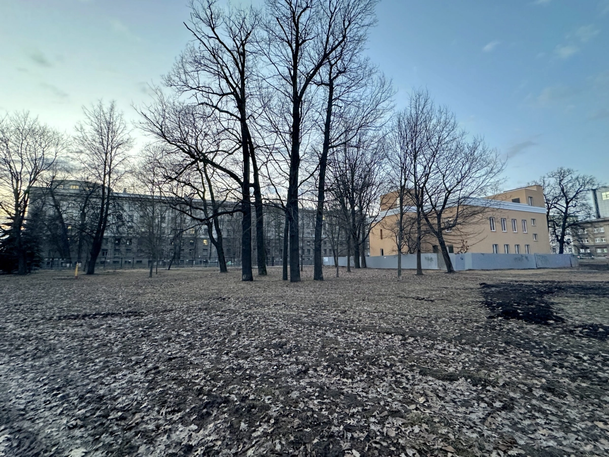 КГИОП отказался менять границы Строгановского сада - tvspb.ru