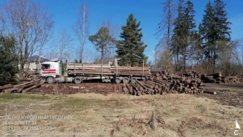 Петербург направит в зону СВО партию древесины для нужд армии
