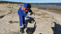На берегу Финского залива в Кургальском заказнике нашли загрязнение нефтепродуктами