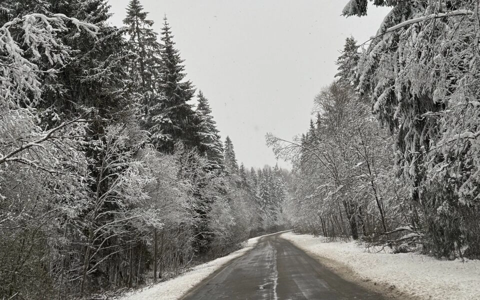 Сильный снег, -3 градуса, гололед и ветер до 18 м/с: какая погода ждет жителей Ленобласти 28 апреля - tvspb.ru